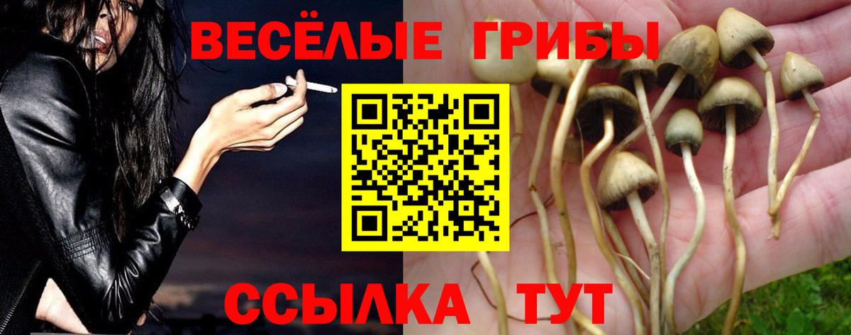 Галлюциногенные грибы Magic Shrooms Киреевск